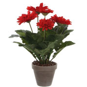 Plante Artificielle - Gerbera Rouge - MICA